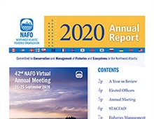 Annual Report 2020