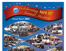 Annual Report 2013